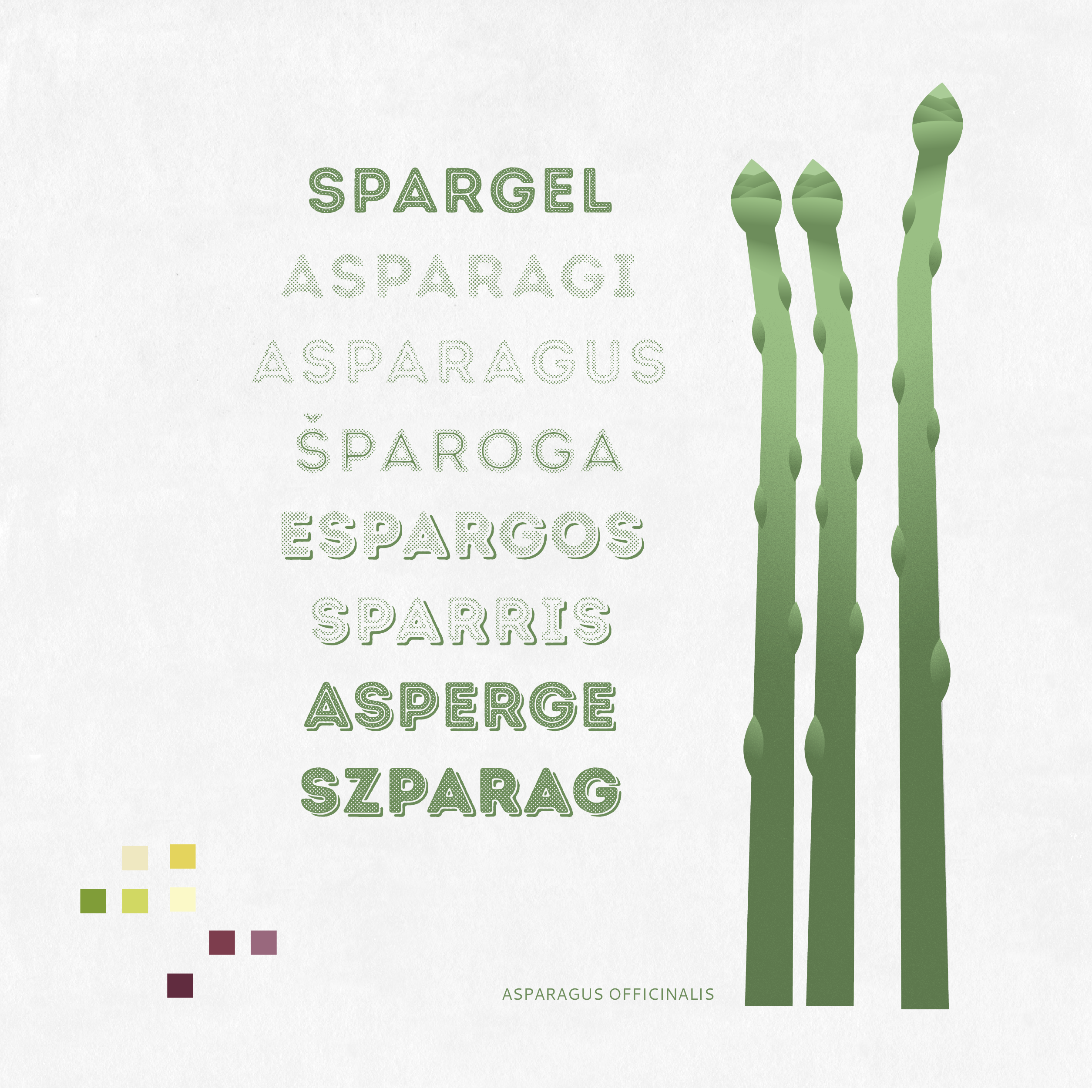 Asparagus-02